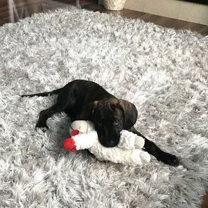 Meet your Posher, Season